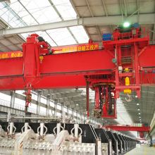 WEIHUA Multifunction Crane for Electrolytic Aluminum